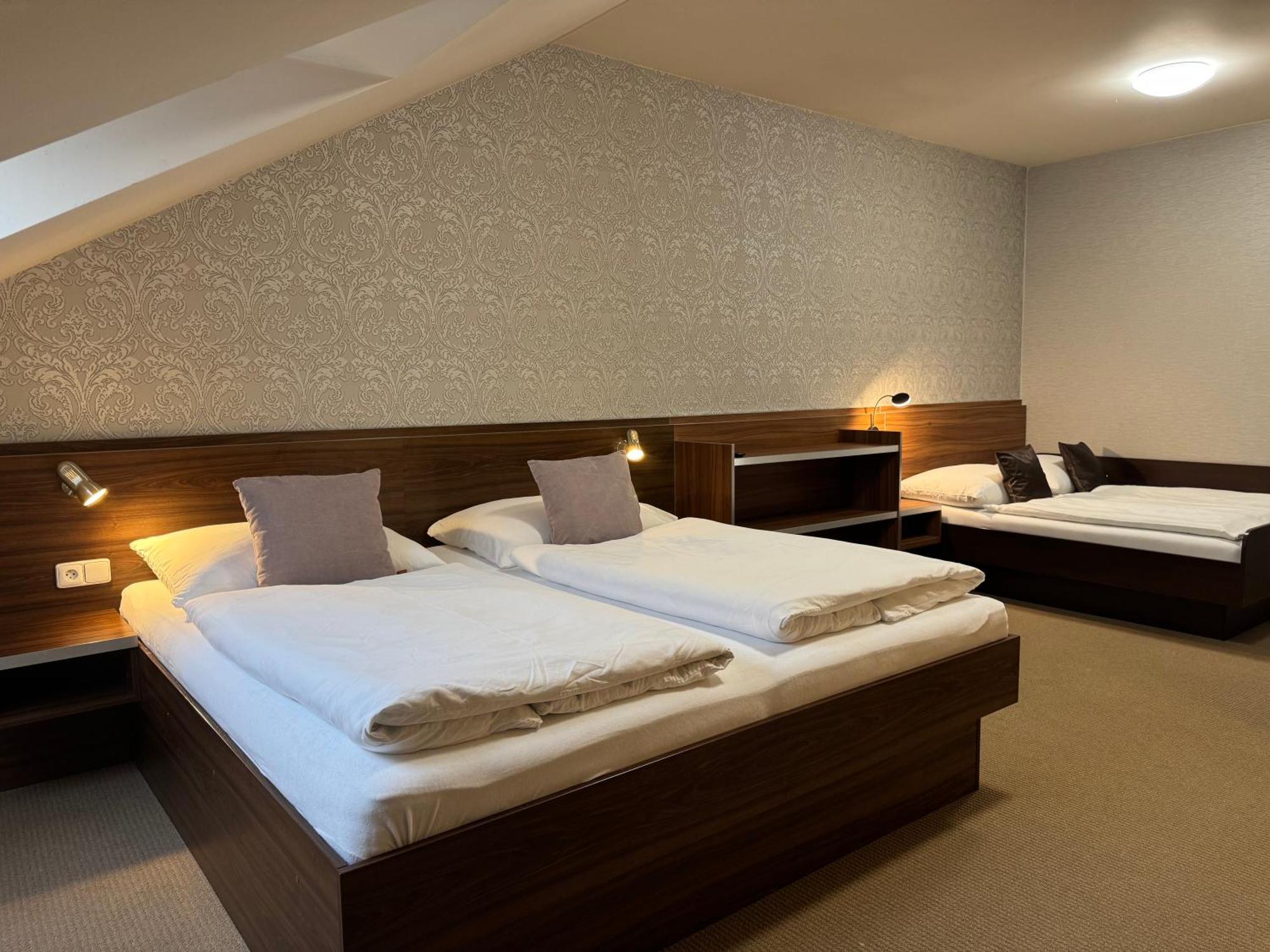 Apartment Bila Hora - Roudna