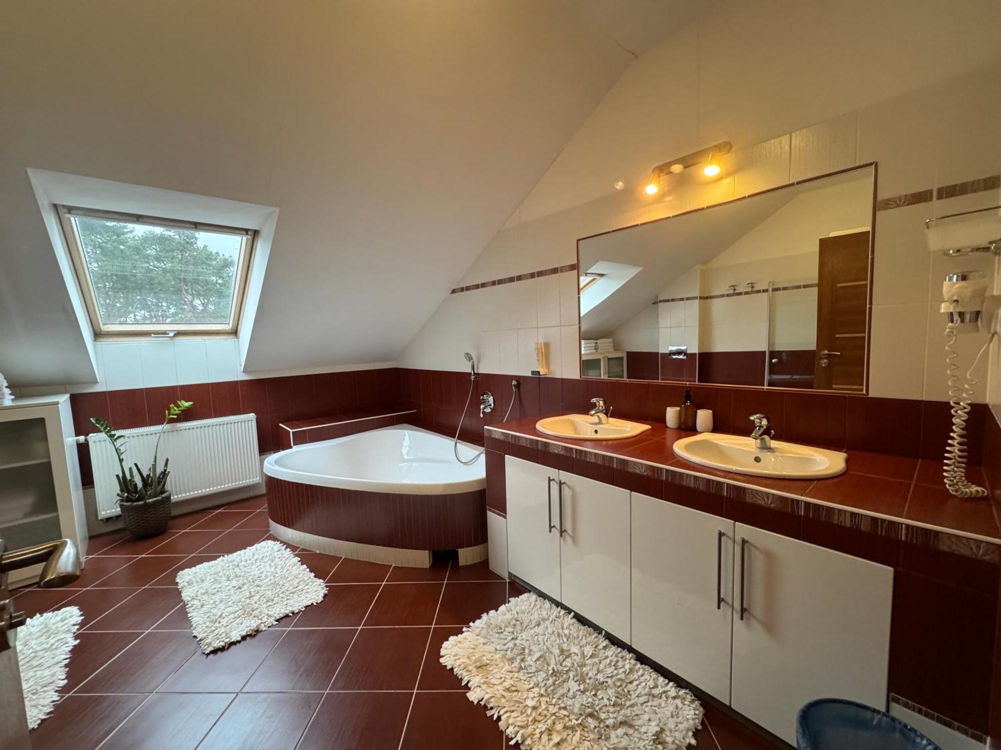 Apartment Bila Hora - Roudna